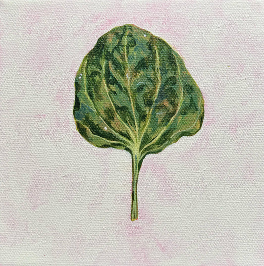 Bandaid, 6x6in, acrylic, 2025