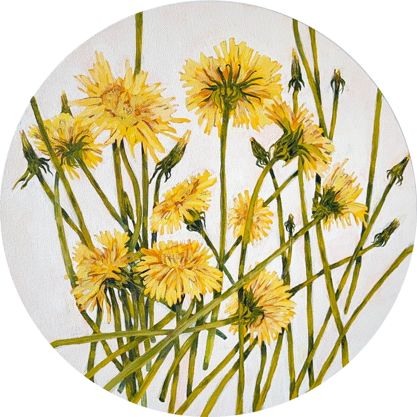 Dandelions, 14in, acrylic, 2025