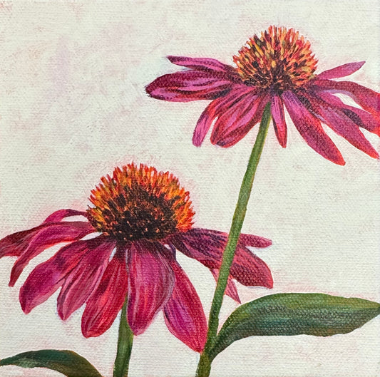 Fancy Chamomile, 6x6in, acrylic, 2025