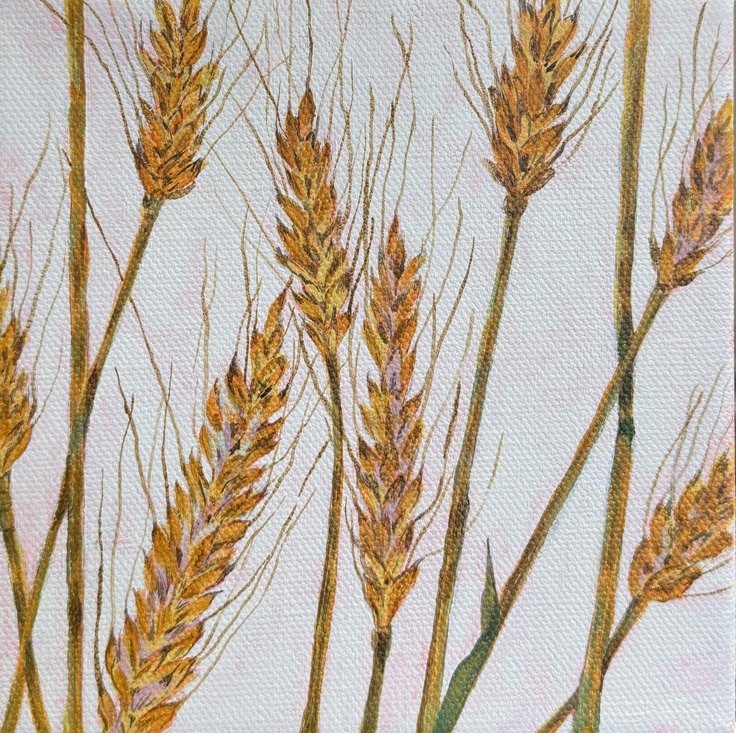 Homeland, 6x6in, acrylic, 2025