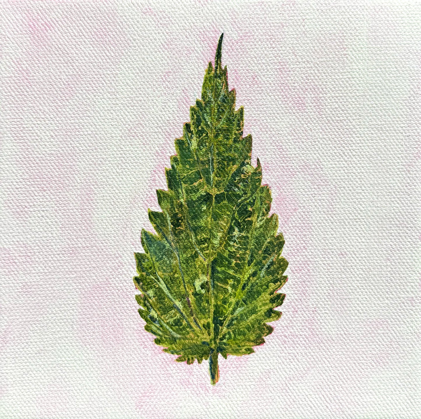 Itchy Ouch, 6x6in, acrylic, 2025