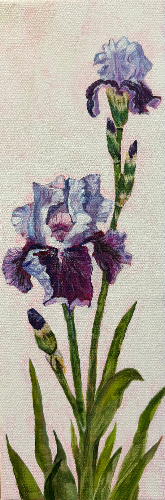 May Flower, 12x4in, acrylic, 2025