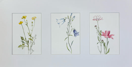 Memories in Bloom, 13x23in, watercolor, 2025