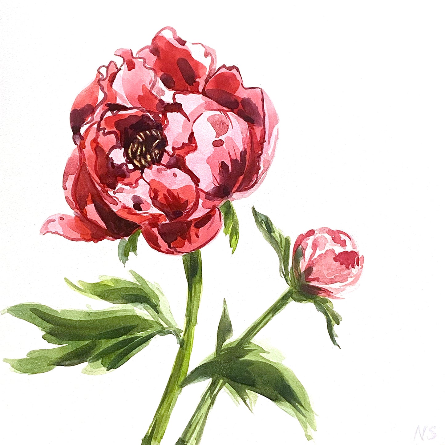 Painting for Beginners (In-person 1-on-1 5-class package) - 2hr