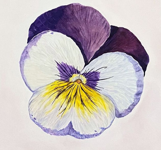 Pansy, 8×8in, watercolor, cradled panel, 2024