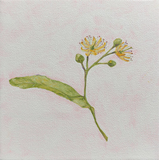 Summer tea, 6x6in, acrylic, 2025