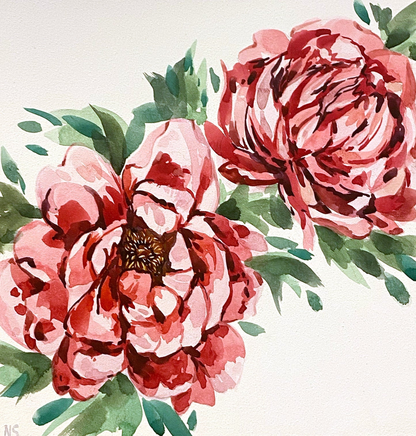 Two Peonies, 8×8in, watercolor, cradled panel, 2024
