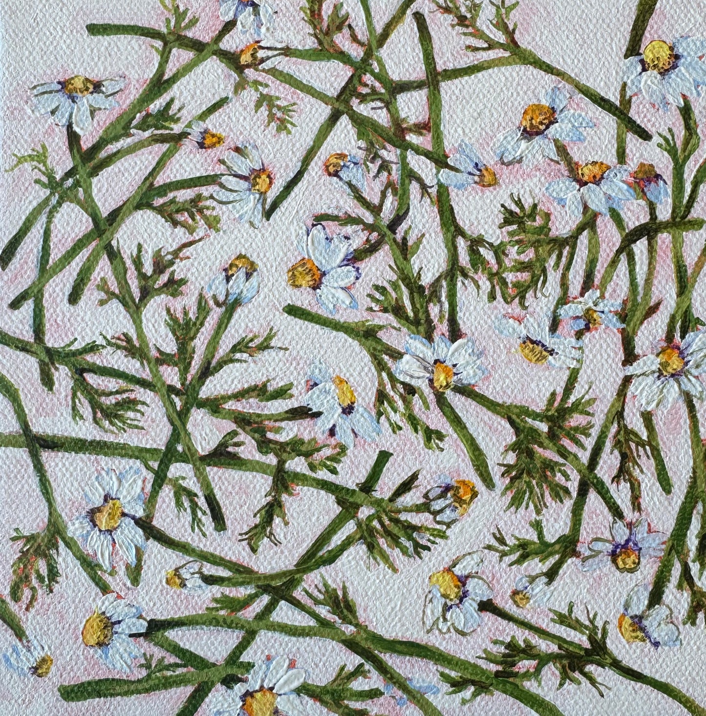 Loves me ... Loves me not, 6x6in, acrylic, 2025