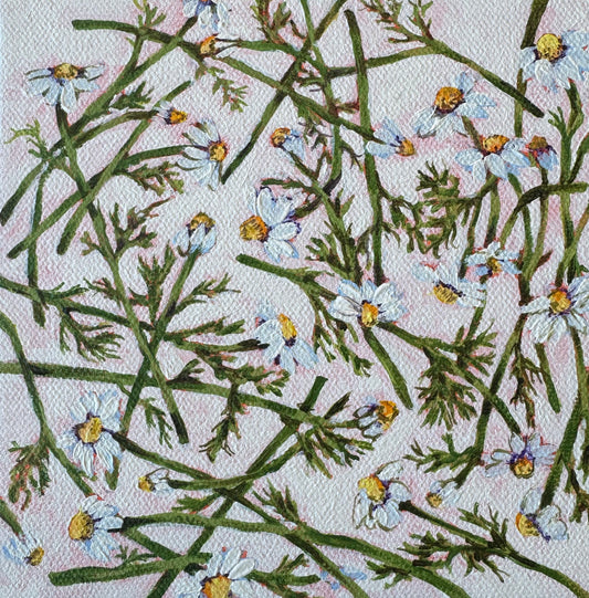Loves me ... Loves me not, 6x6in, acrylic, 2025